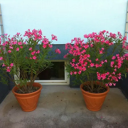 Blue Mediterran House Apartment Balatonfüred