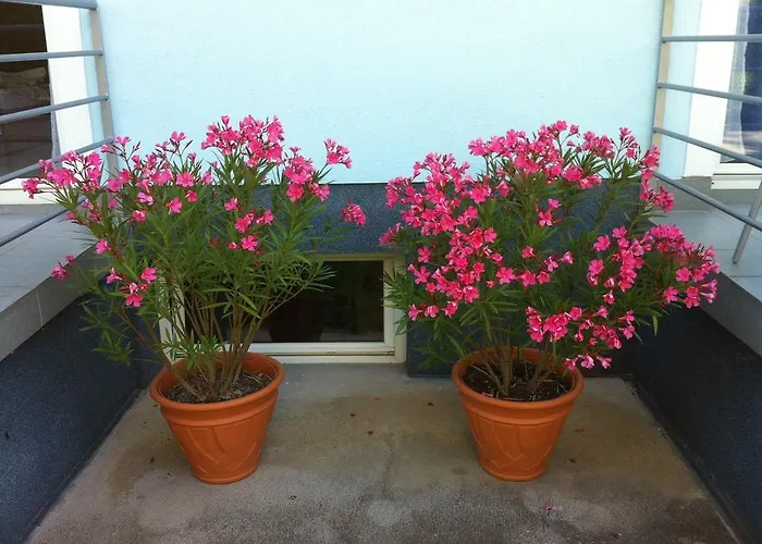 Blue Mediterran House 公寓 巴拉顿菲赖德